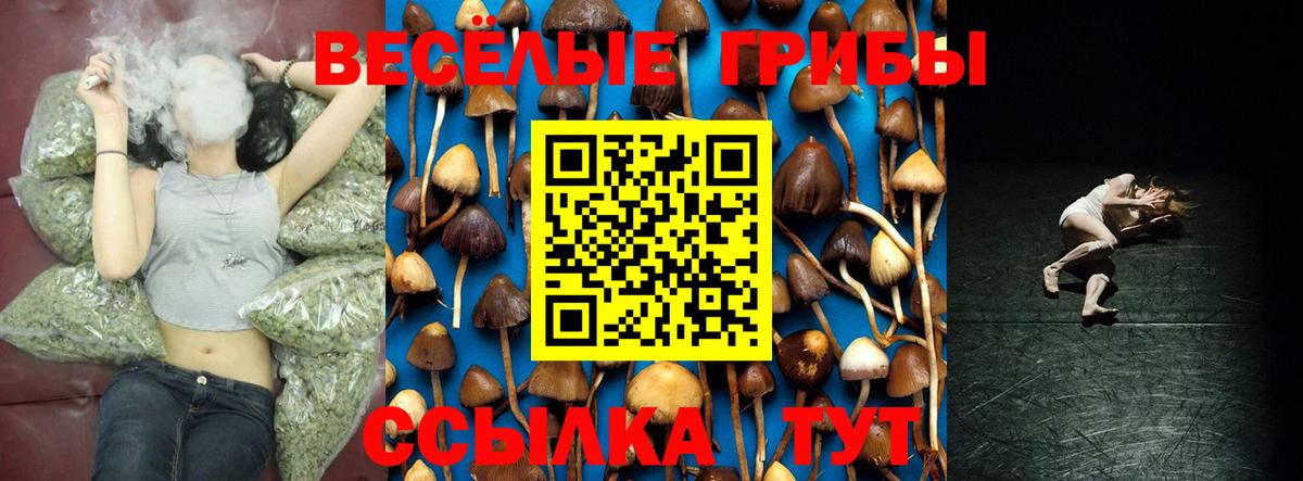 Алейск  Псилоцибиновые грибы Magic Shrooms  Галлюциногенные грибы Psilocybine cubensis  Вход с VPN 