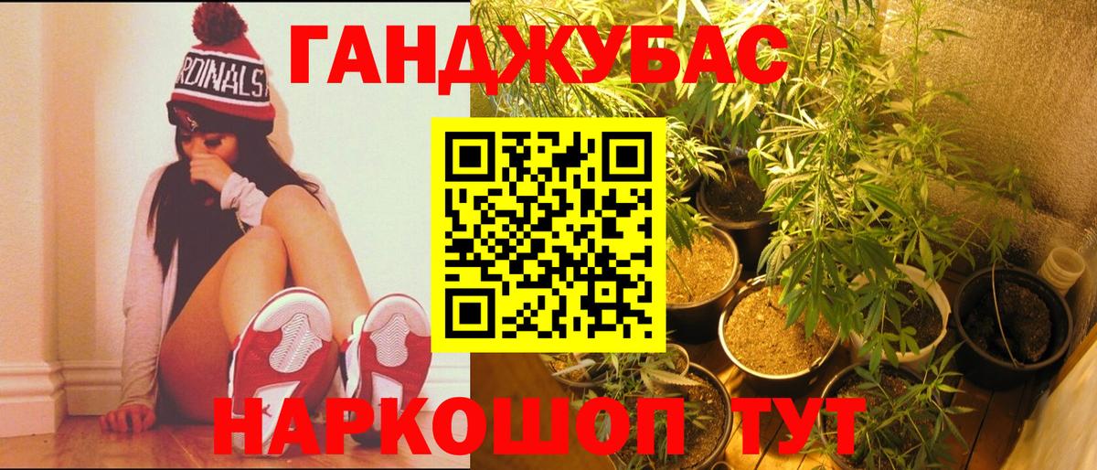 Бошки Шишки семена  Вход с VPN  Каннабис гибрид  Алейск  Шишки марихуана MAZAR  Бошки Шишки ГИДРОПОН 